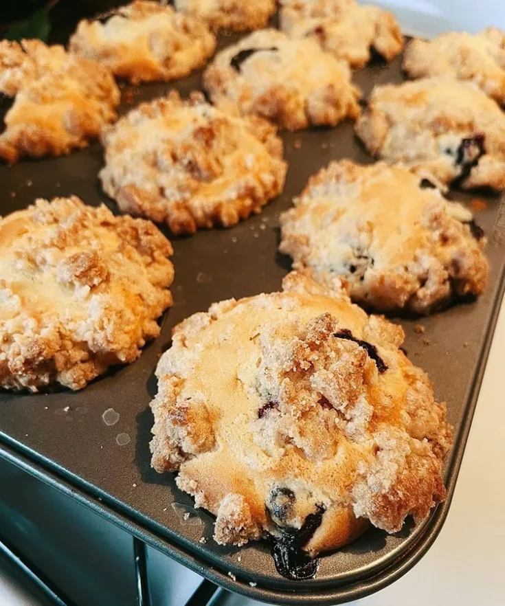 Weight Watchers Blueberry Muffins Recipe