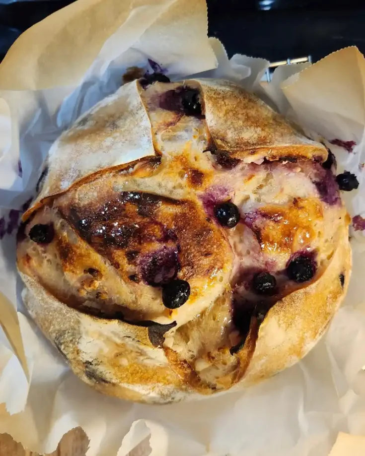 Lemon zest and blueberries in sourdough dough
